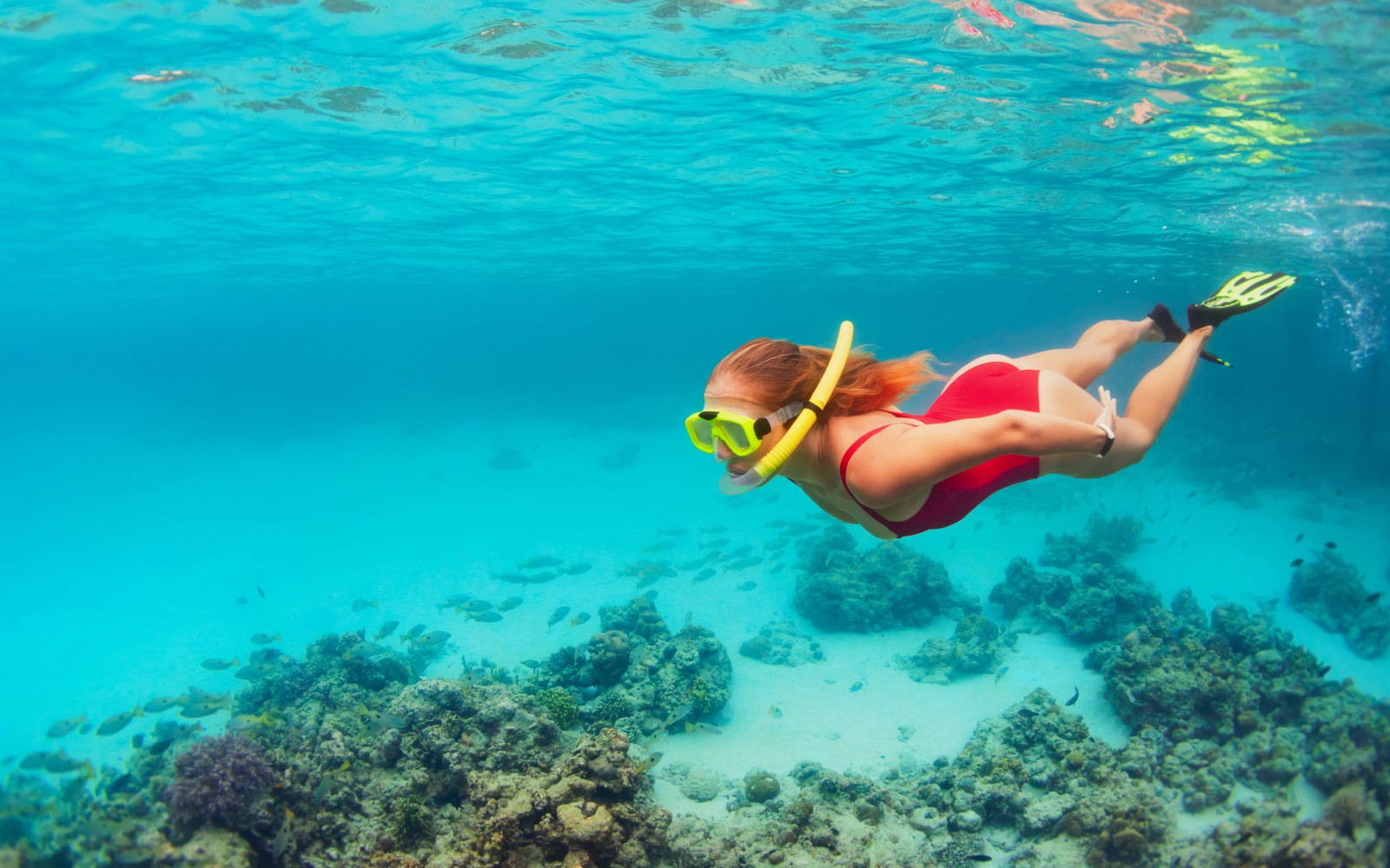 Snorkeling